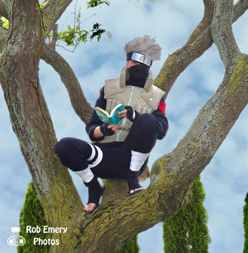 Kakashi reading in a tree
